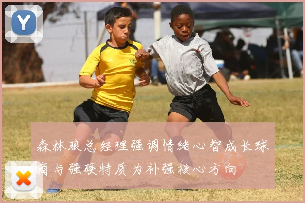 森林狼总经理强调情绪心智成长球商与强硬特质为补强核心方向