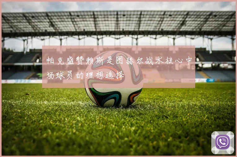 帕克盛赞赖斯是图赫尔战术核心中场球员的理想选择