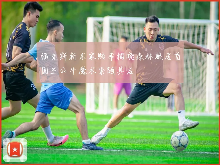 福克斯新东家赔率揭晓森林狼居首国王公牛魔术紧随其后