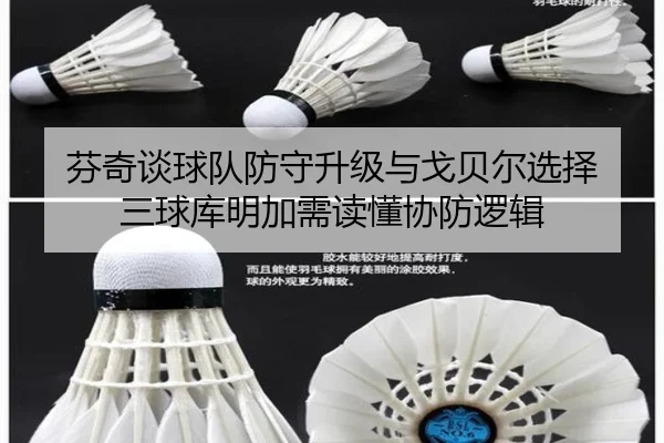 芬奇谈球队防守升级与戈贝尔选择 三球库明加需读懂协防逻辑